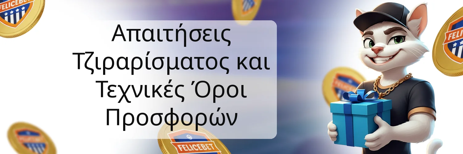 Απαιτήσεις Τζιραρίσματος και Τεχνικές Όροι Προσφορών